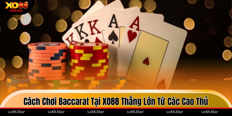 Cách Chơi Baccarat Tại XO88 Thắng Lớn Từ Các Cao Thủ Cách chơi Baccarat