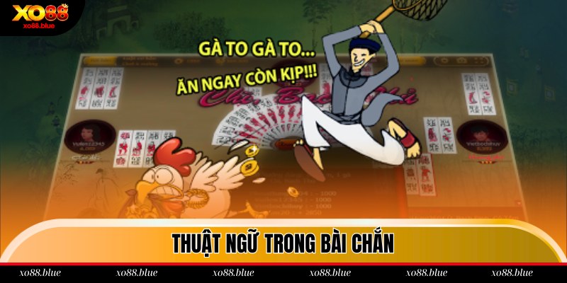Cách Chơi Chắn Dễ Thắng Dành Cho Hội Viên Mới Tại Xo88 Thuật ngữ cần biết trước khi chơi chắn tại Xo88
